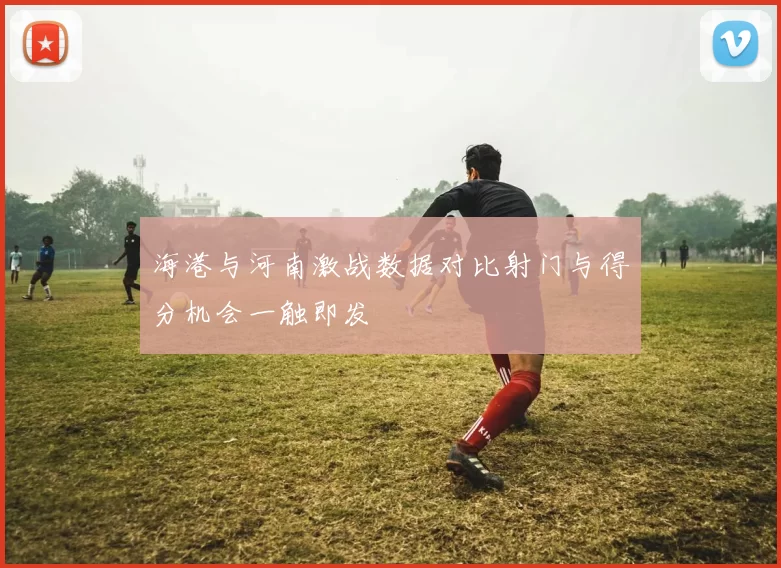 海港与河南激战数据对比射门与得分机会一触即发